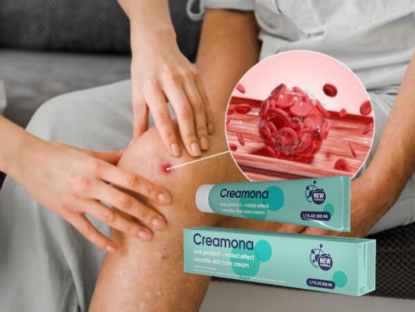 Come usare Creamona Istruzioni