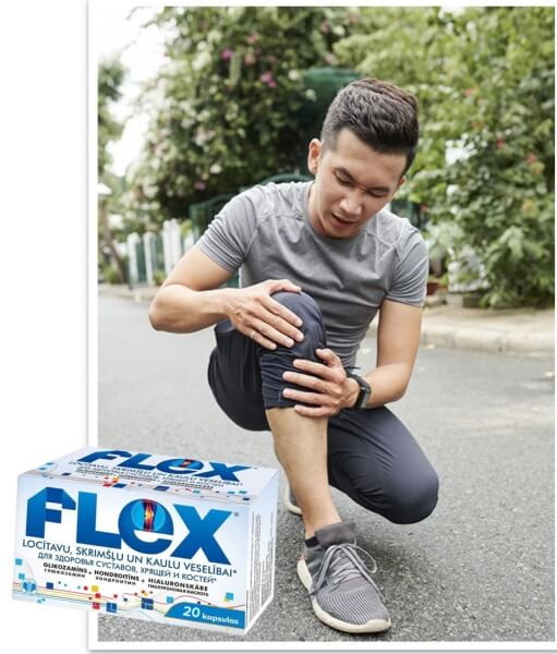 Cos'è Flex e come funziona