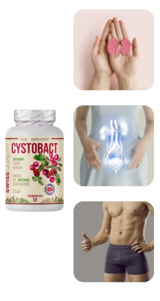 Come assumere Cystobact - Istruzioni per l'uso, dosaggio e foglietto illustrativo Come assumere Cystobact - Istruzioni per l'uso, dosaggio e foglietto illustrativo